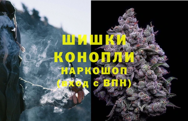 стаф Балахна