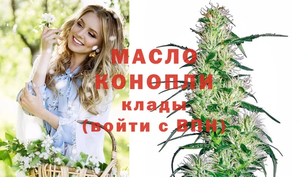 стаф Балахна