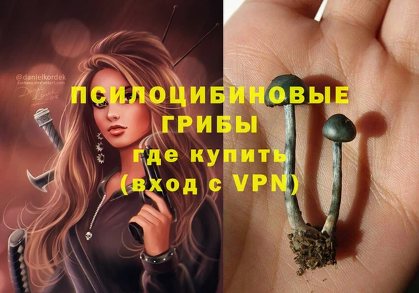 гидропоника Балабаново