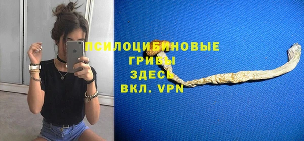 гидропоника Балабаново
