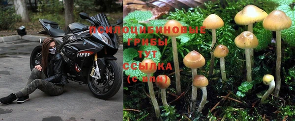прущая мука Баксан