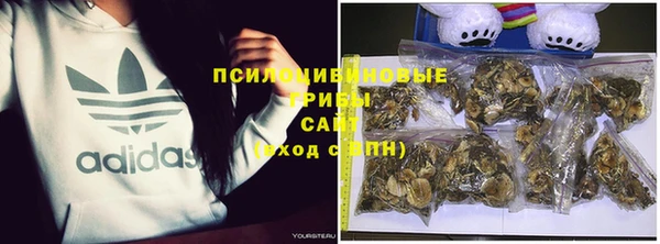 прущая мука Баксан