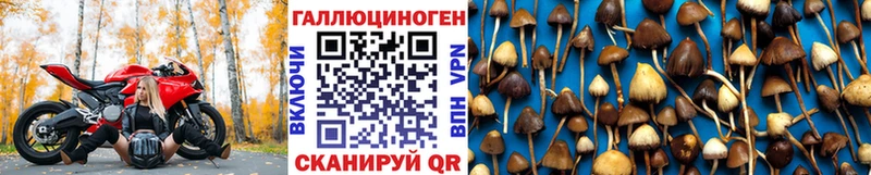 Галлюциногенные грибы мухоморы  закладки  Мостовской 